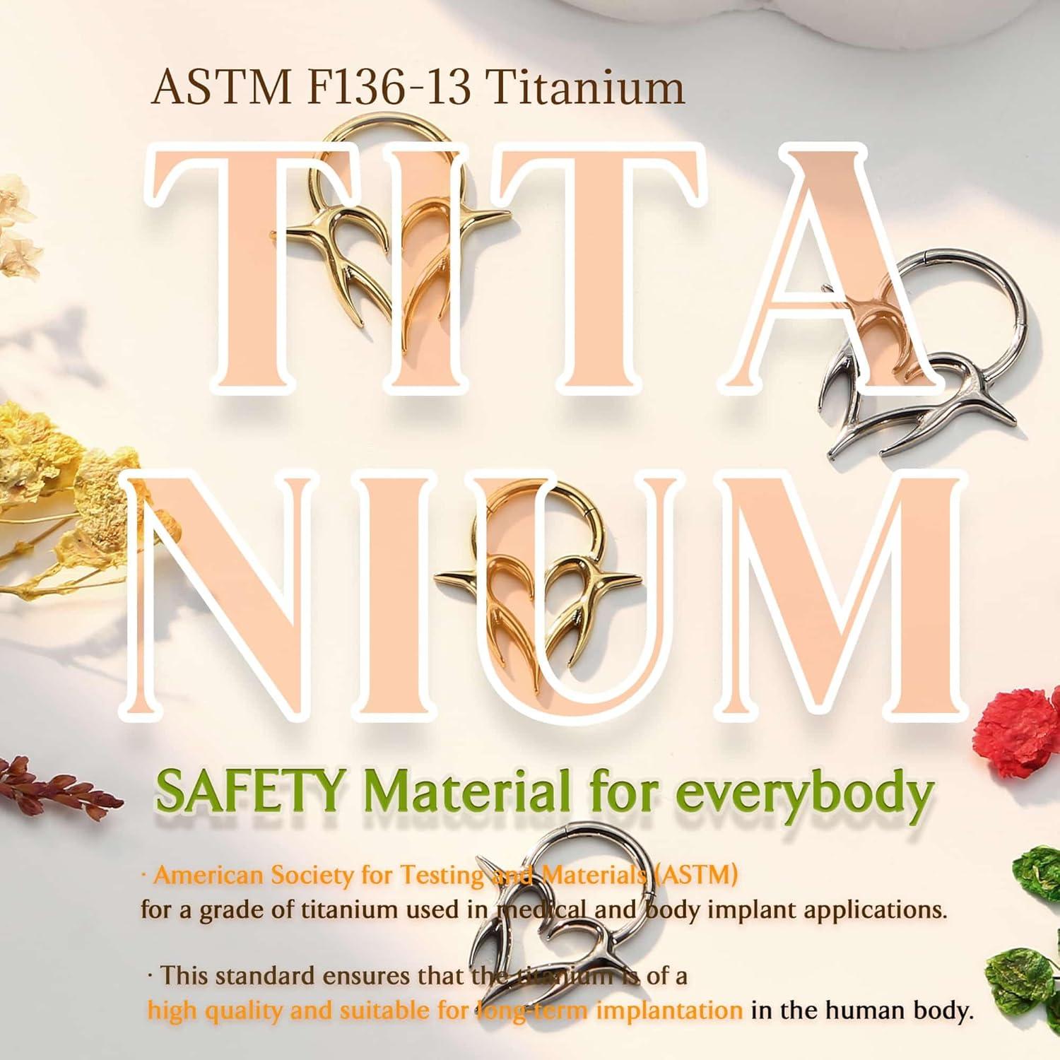 imageBodyBonita 16G Septum Rings Flame Heart G23 Titanium Septum Jewelry Nose Rings Hoops Clicker Conch Helix Tragus Rook Daith Piercings for Women Men SilverGold Plated 810mmSilver