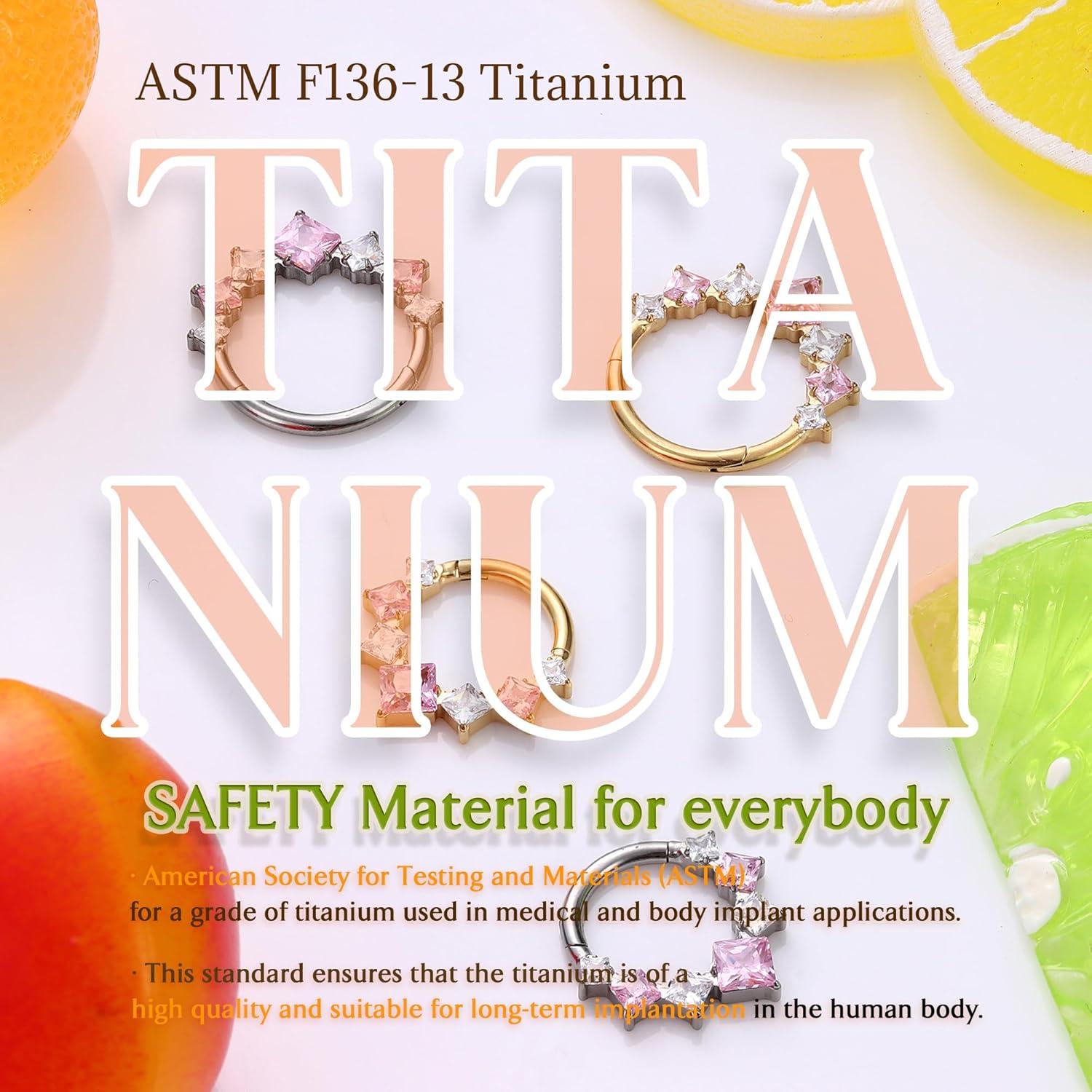 imageBodyBonita 16G Septum Rings PinkRedGreenClear CZ G23 Titanium Nose Ring Hoops Septum Jewelry Clicker Conch Helix Tragus Rook Daith Piercings for Women Men SilverGold 810 mmPink CZGold