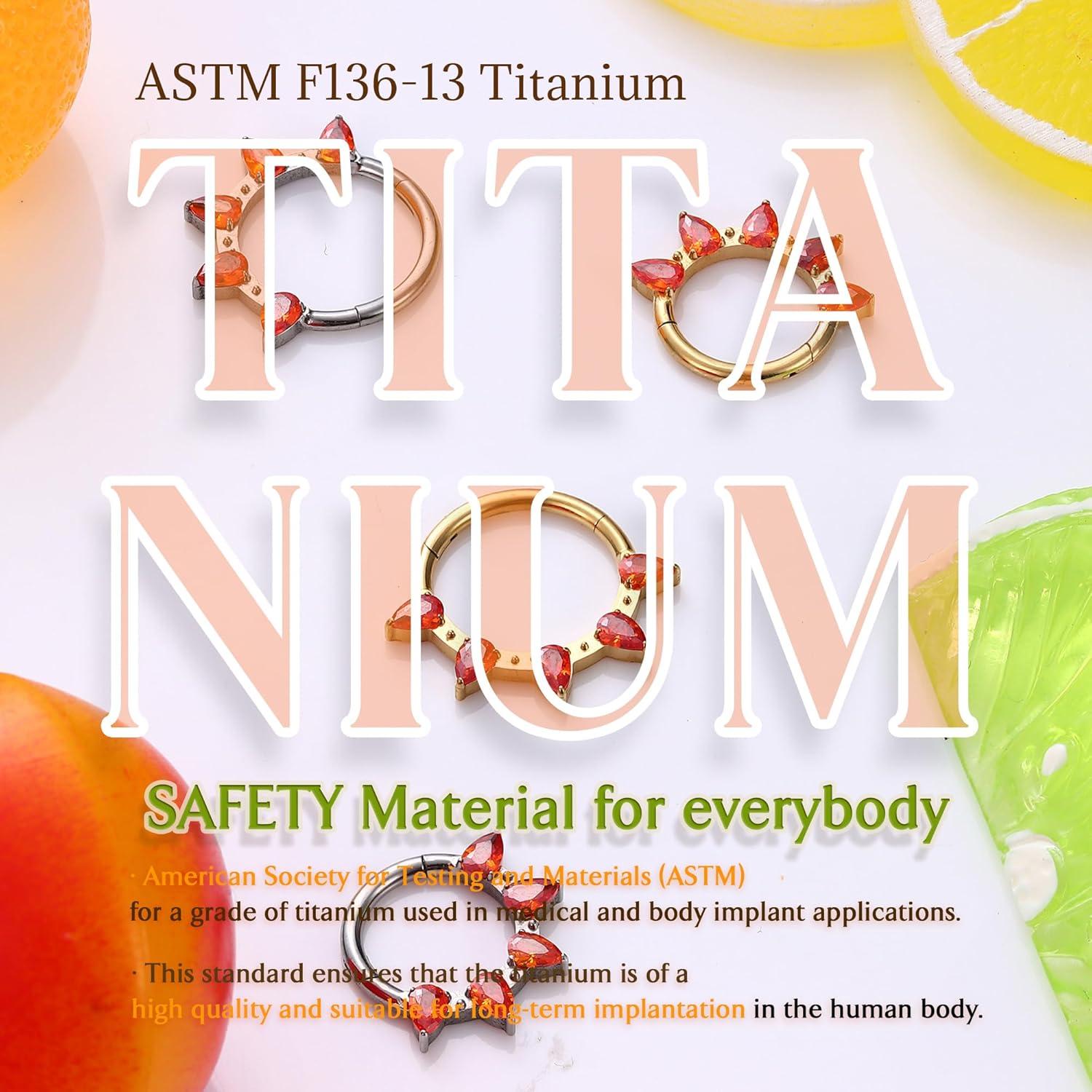 imageBodyBonita 16G Septum Rings PinkRedGreenClear CZ G23 Titanium Nose Ring Hoops Septum Jewelry Clicker Conch Helix Tragus Rook Daith Piercings for Women Men SilverGold 810 mmRed CZSilver