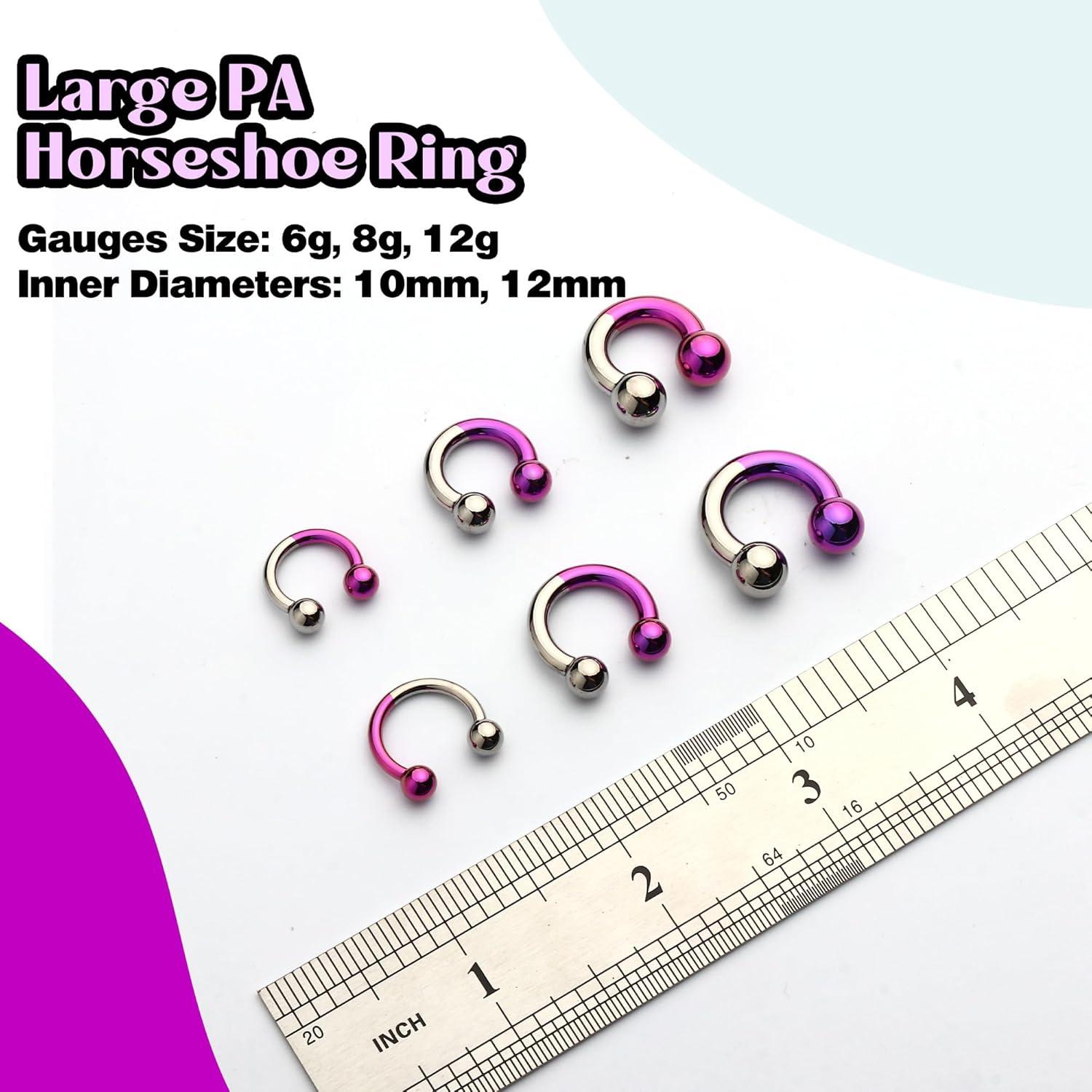 imageBodyBonita Anodized Septum Rings G23 Titanium Nose Ring Horseshoe Large PA Ring 6G 8G 12G Internally Threaded Circular Barbell Stretched Gauges for Ears CBR Body Piercing Jewelry for Women MenAnodized SilverPurple