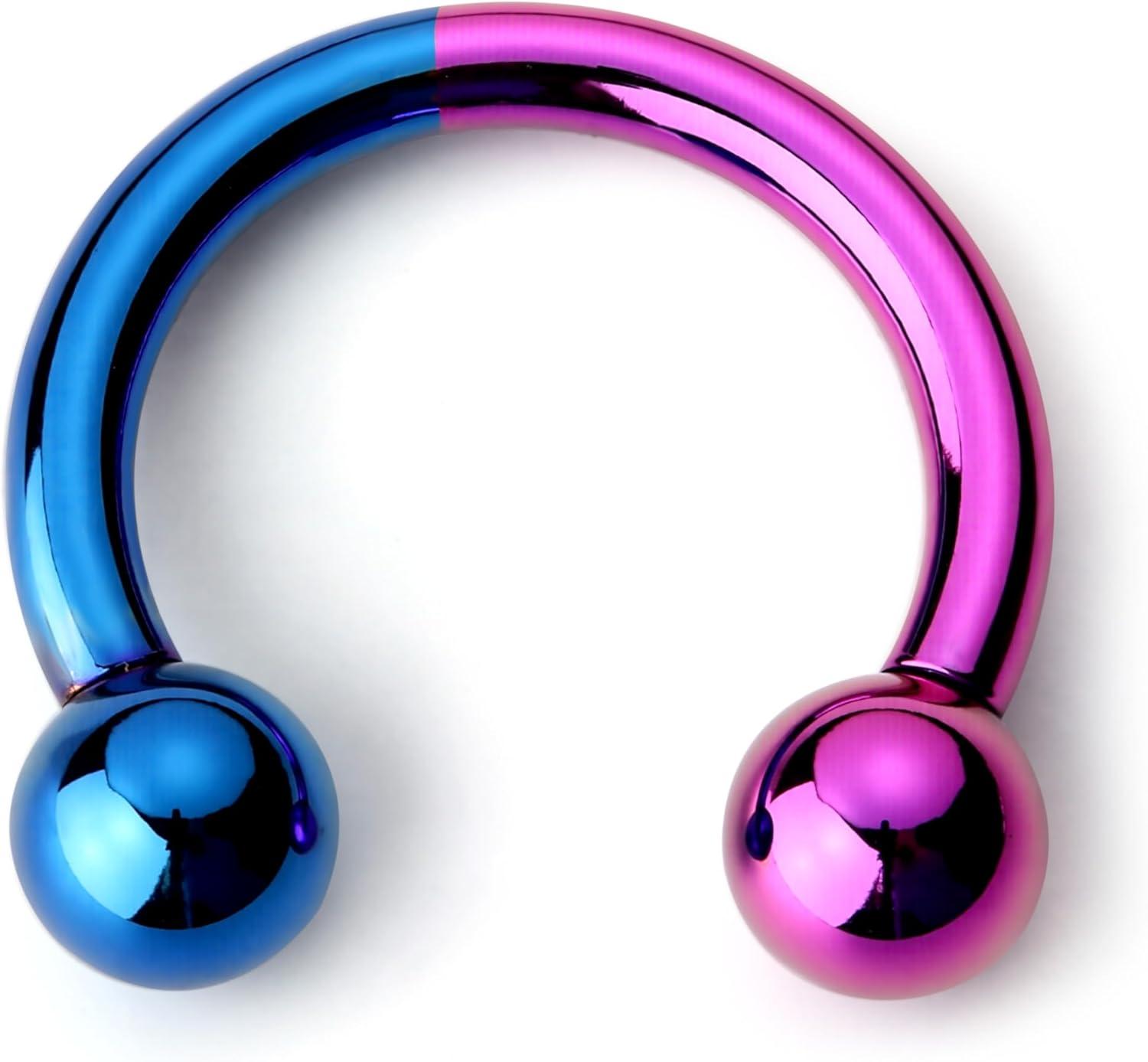 imageBodyBonita Anodized Septum Rings G23 Titanium Nose Ring Horseshoe Large PA Ring 6G 8G 12G Internally Threaded Circular Barbell Stretched Gauges for Ears CBR Body Piercing Jewelry for Women MenAnodized PurpleBlue