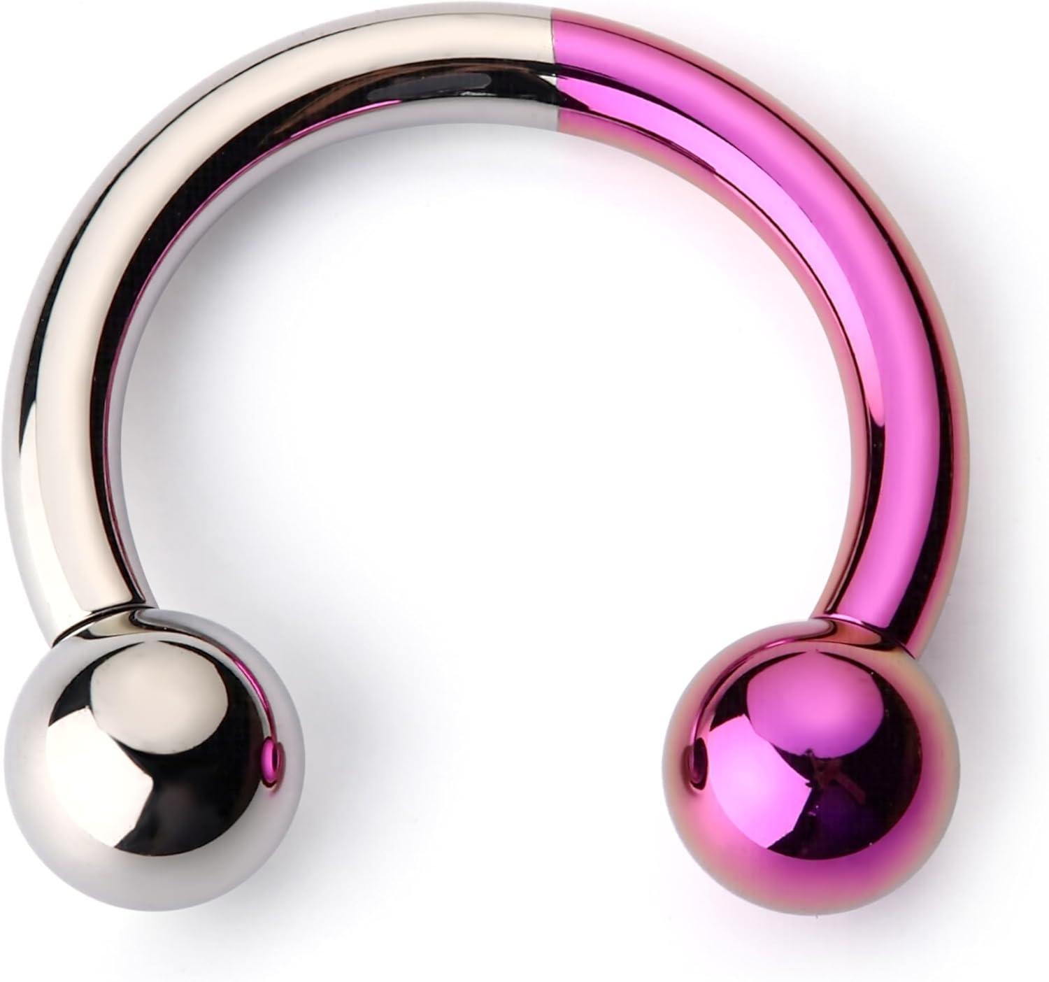 imageBodyBonita Anodized Septum Rings G23 Titanium Nose Ring Horseshoe Large PA Ring 6G 8G 12G Internally Threaded Circular Barbell Stretched Gauges for Ears CBR Body Piercing Jewelry for Women MenAnodized SilverPurple