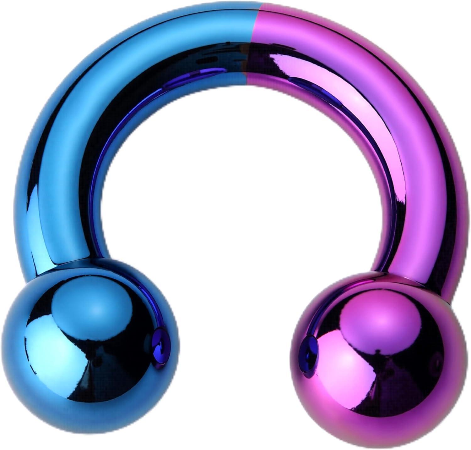 imageBodyBonita Anodized Septum Rings G23 Titanium Nose Ring Horseshoe Large PA Ring 6G 8G 12G Internally Threaded Circular Barbell Stretched Gauges for Ears CBR Body Piercing Jewelry for Women MenAnodized PurpleBlue