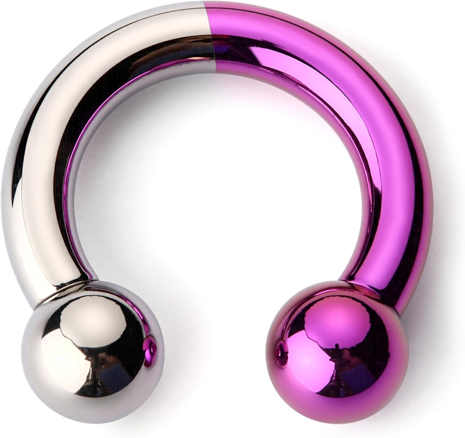 imageBodyBonita Anodized Septum Rings G23 Titanium Nose Ring Horseshoe Large PA Ring 6G 8G 12G Internally Threaded Circular Barbell Stretched Gauges for Ears CBR Body Piercing Jewelry for Women MenAnodized SilverPurple