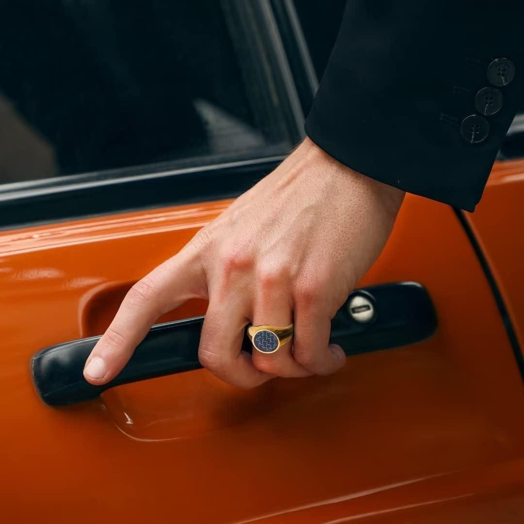 imageKing Will Stainless Steel Ring for Men Meteorite Inlay Matte Finished BlackSilverGold Plated Pinky Signet With SkullLion Pattern Comfort Fit Thumb Ring Size 714Gold