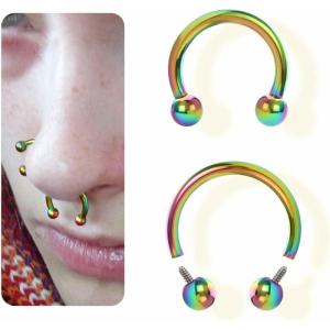BodyBonita Anodized G23 Titanium Horseshoe Nose Ring Hoops for Women, 16G Septum Rings Circular Barbell, Conch Helix Daith Tragus Cartilage Lip Eyebrow Piercing Jewelry 8/10mm 2Pcs(Rainbow  Hand-Anodized)