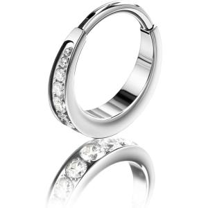 BodyBonita Septum Rings Jewelry 16G, G23 Titanium Nose Rings Hoops for Women Men, Clear CZ Nostril Piercing 8/10 mm 14K Gold Plated/Silver(Silver-Clear CZ)